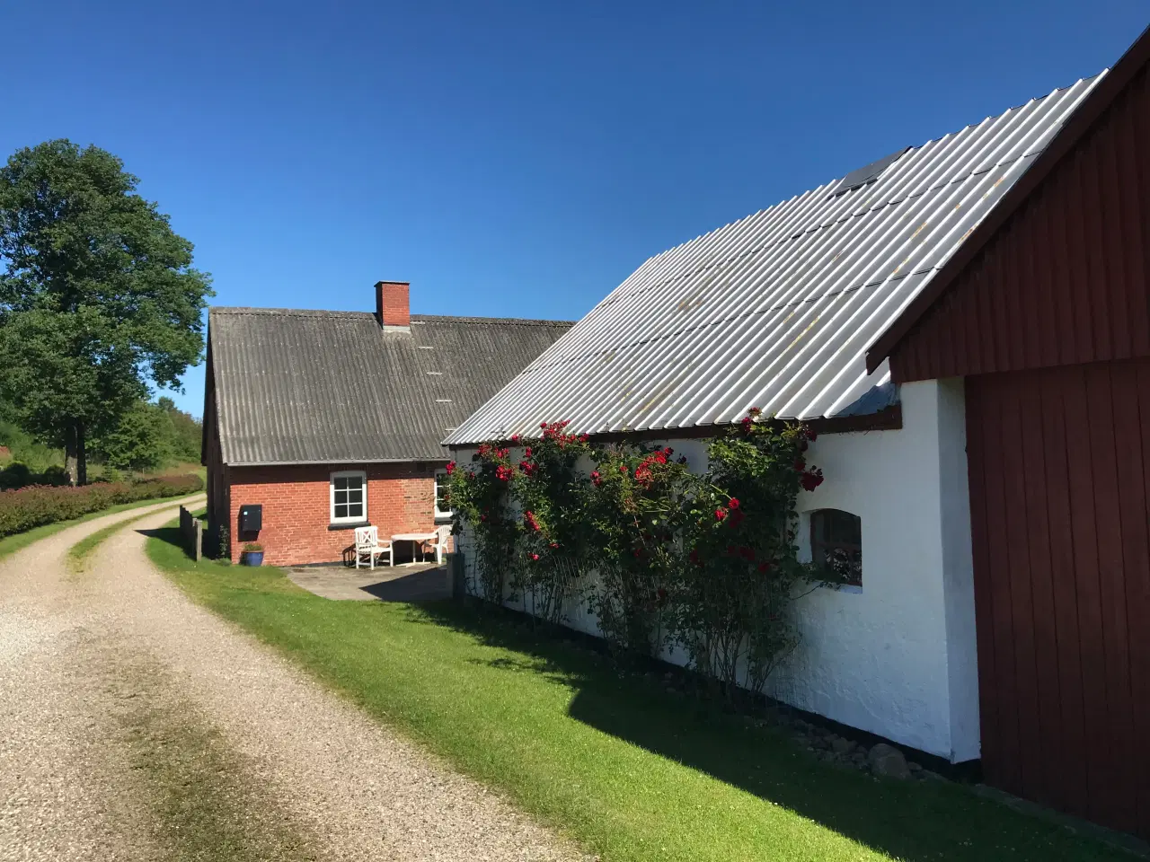 Billede 12 - Heste ejendom v. skov, fjord og Glyngøre. 