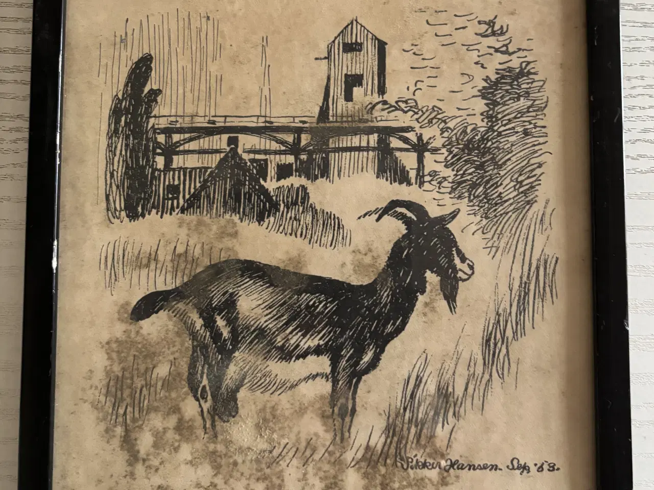 Billede 3 - Billeder, Sikker Hansen