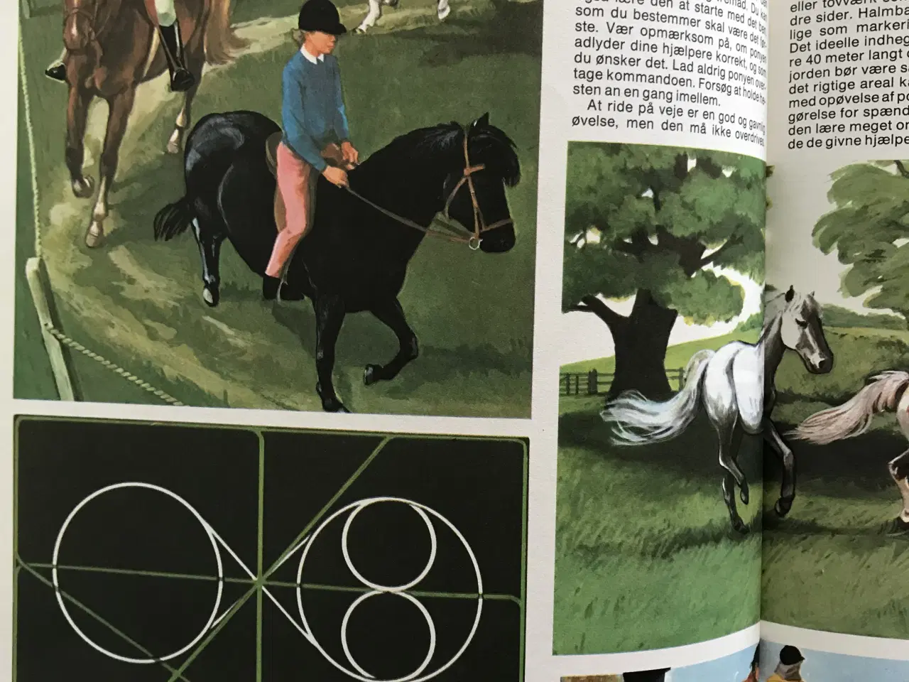 Billede 6 - Ridning og springning