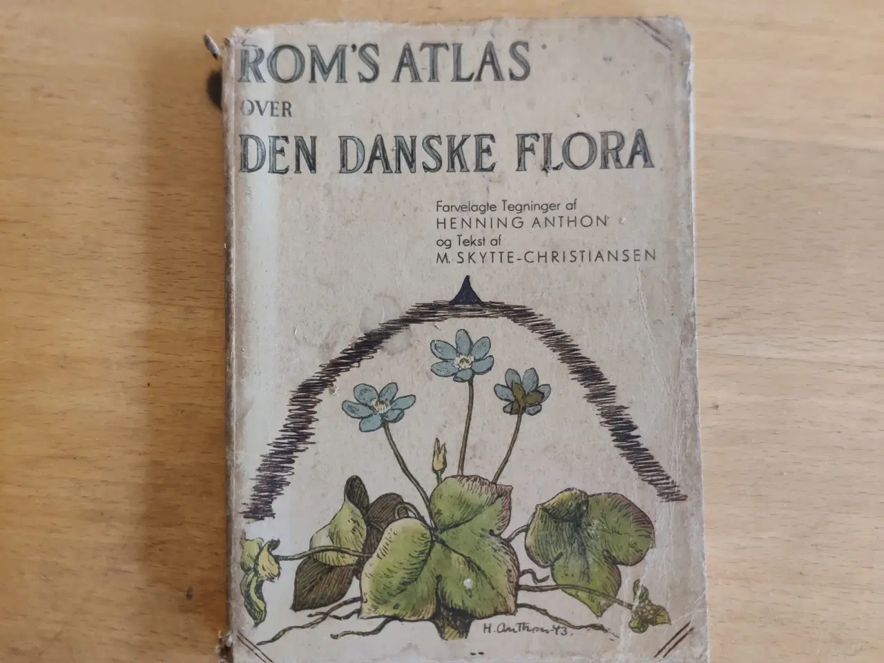 Billede 1 - Den danske flora