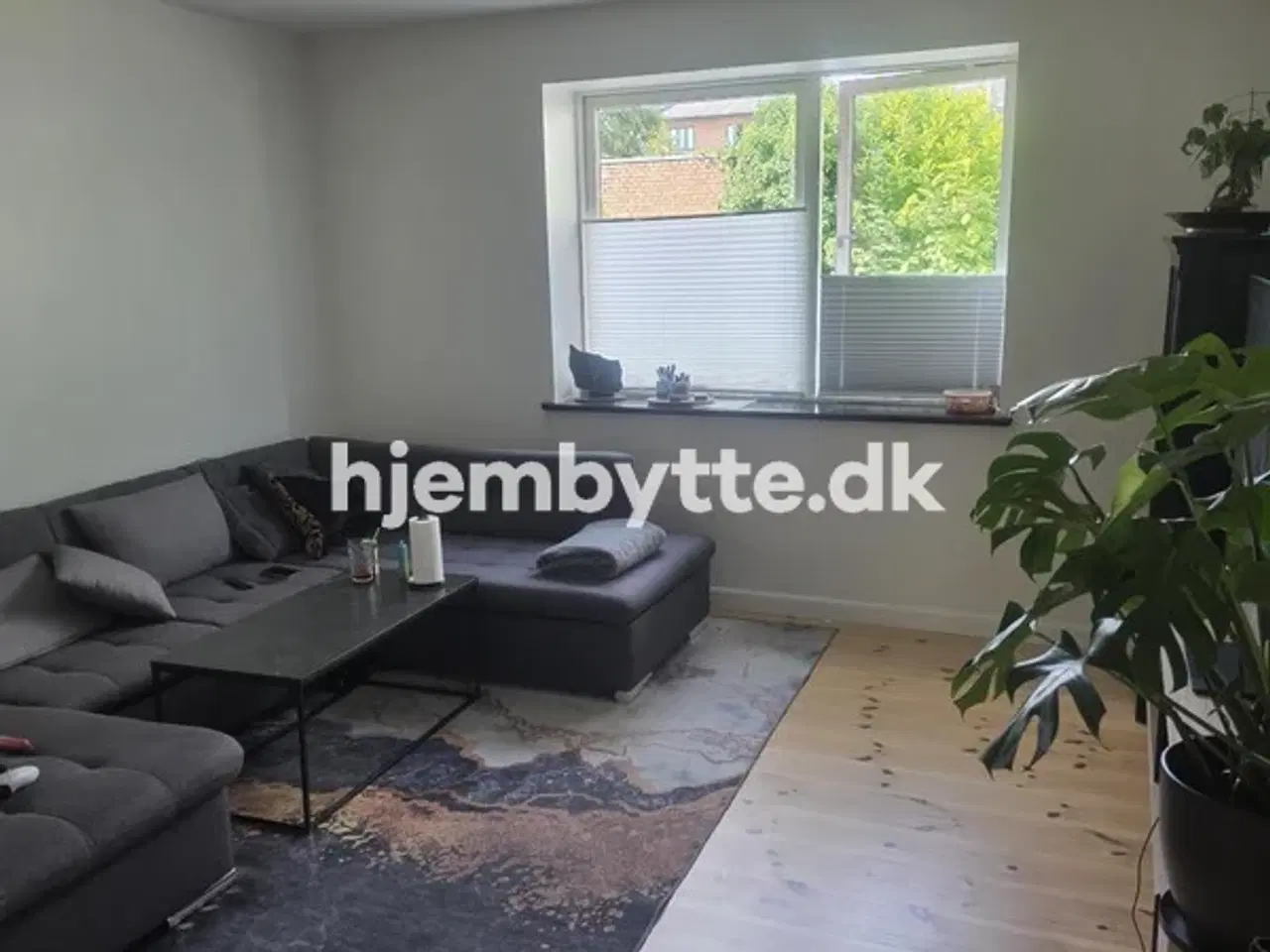 Billede 1 - Hjembytte - Hagestedvej