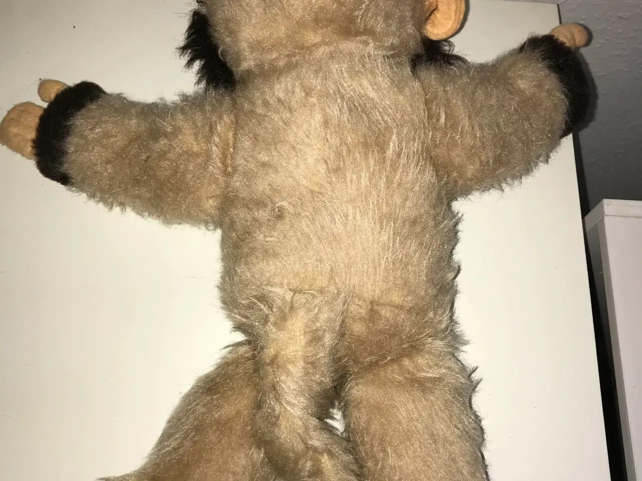 Billede 2 - Ældre bamse abe