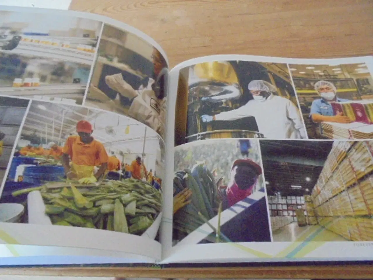 Billede 6 - Forever Living Products – Aloe Vera 2015