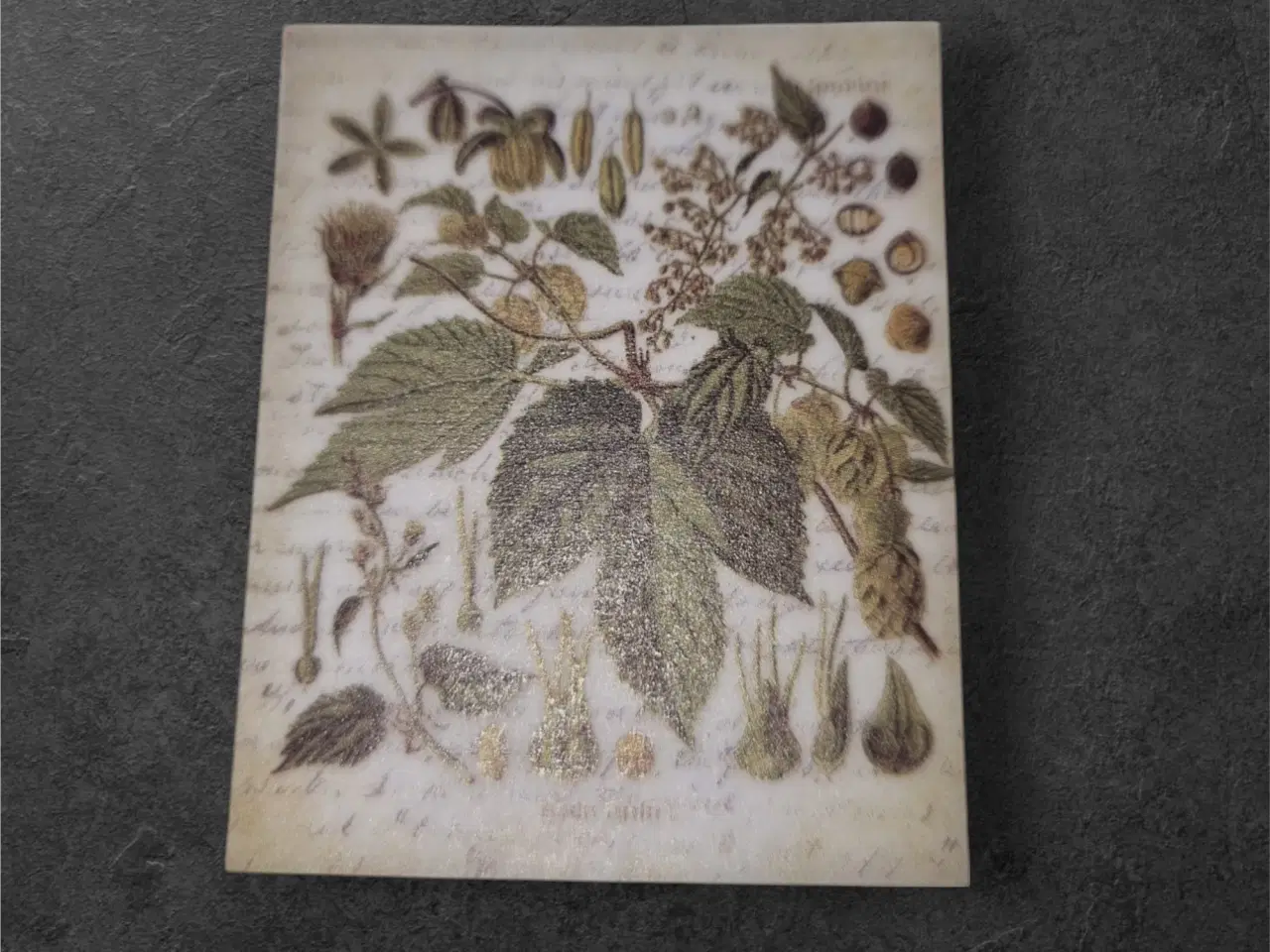 Billede 1 - Botaniske papirark med vintage charme til dine pro