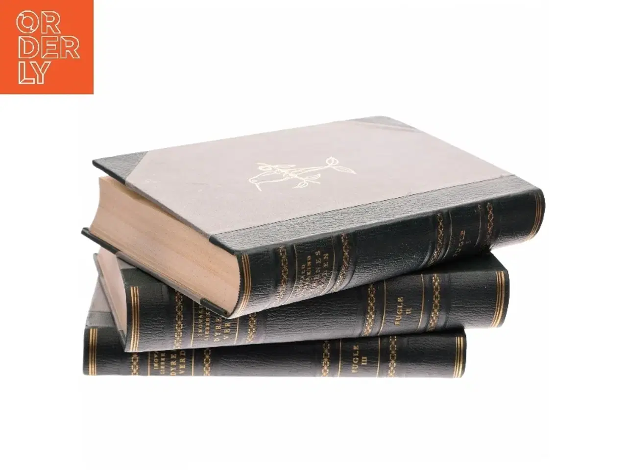 Billede 2 - Danske Fugle i Toner og Farver af <Bogens forfattere< (Bog)