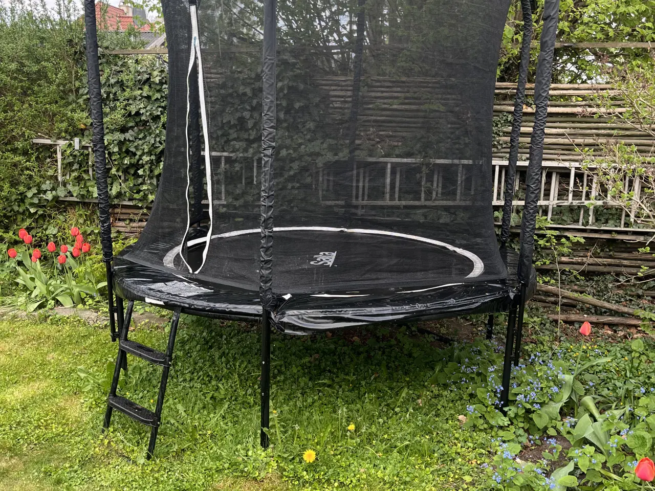 Billede 2 - Salta Premium Black Edition havetrampolin Ø: 251 c