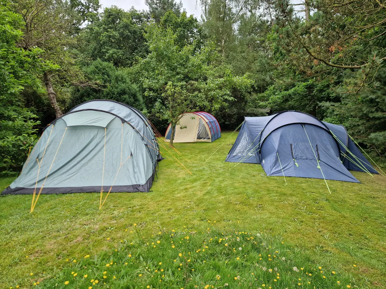 Billede 3 - UDLEJES - Campingpakke m. 8-12 pers. telt