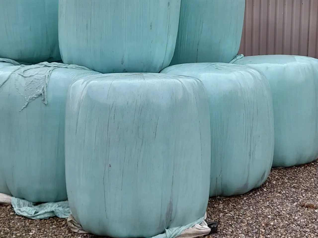 Billede 1 - Wraphø,tørt.