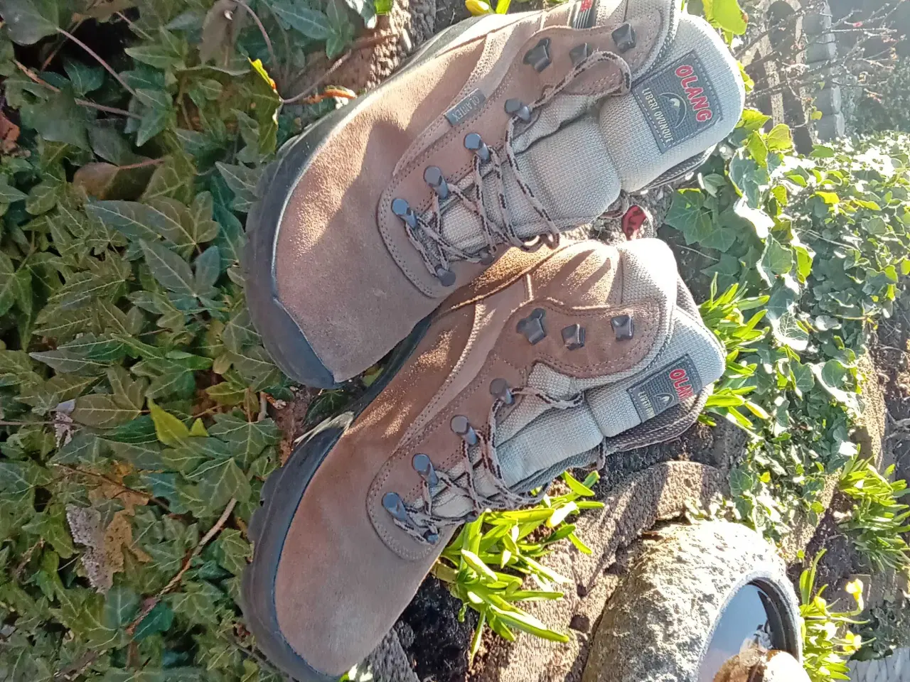 Billede 2 - Vandrestøvler, mrk. Olang