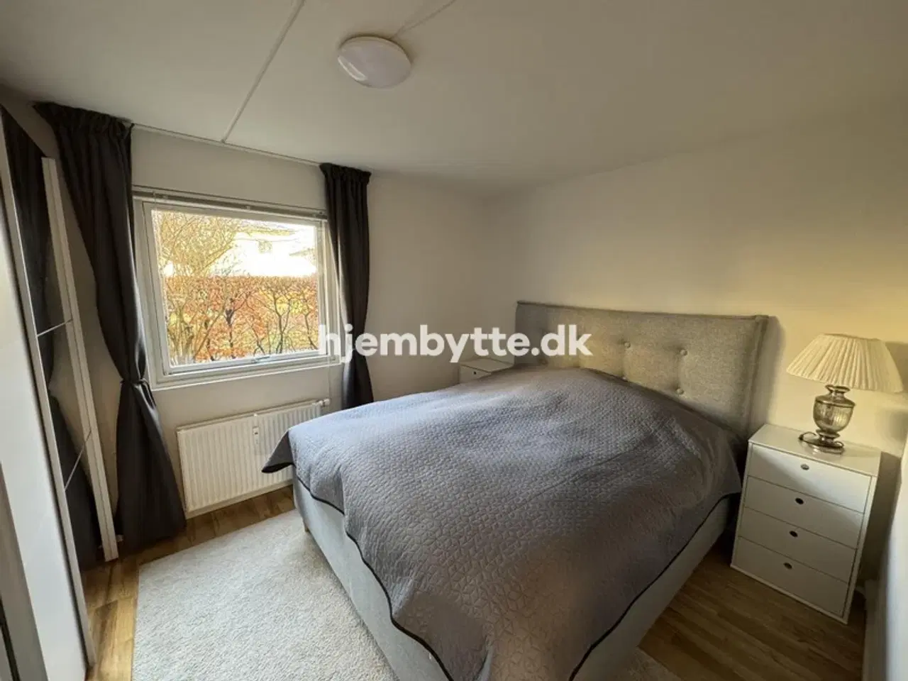 Billede 6 - Hjembytte - Astilbehaven