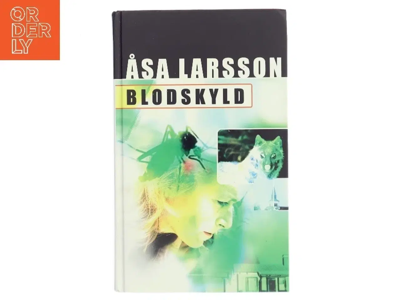 Billede 1 - Blodskyld af Åsa Larsson (Bog)