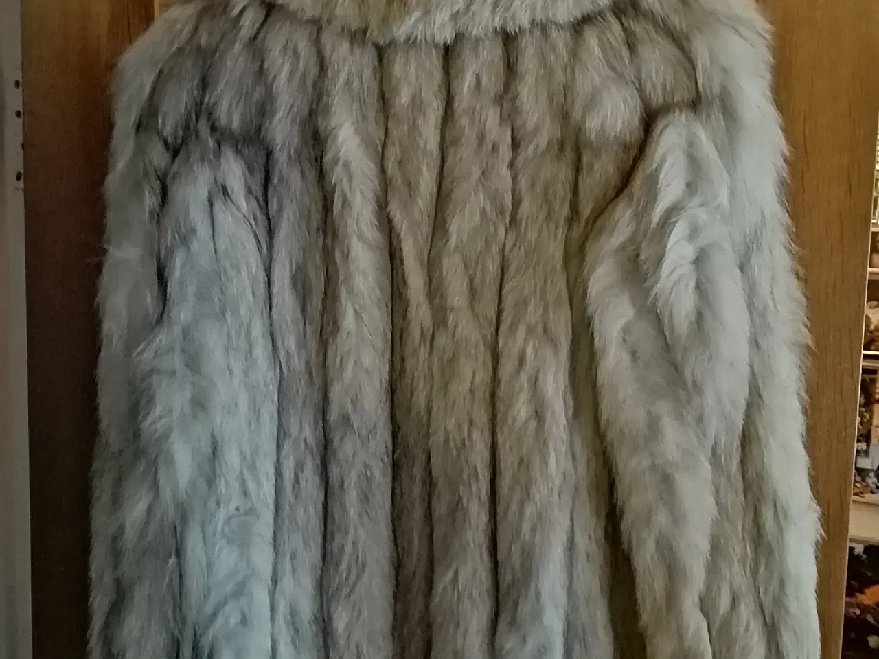 Billede 4 - Ægte blåræv