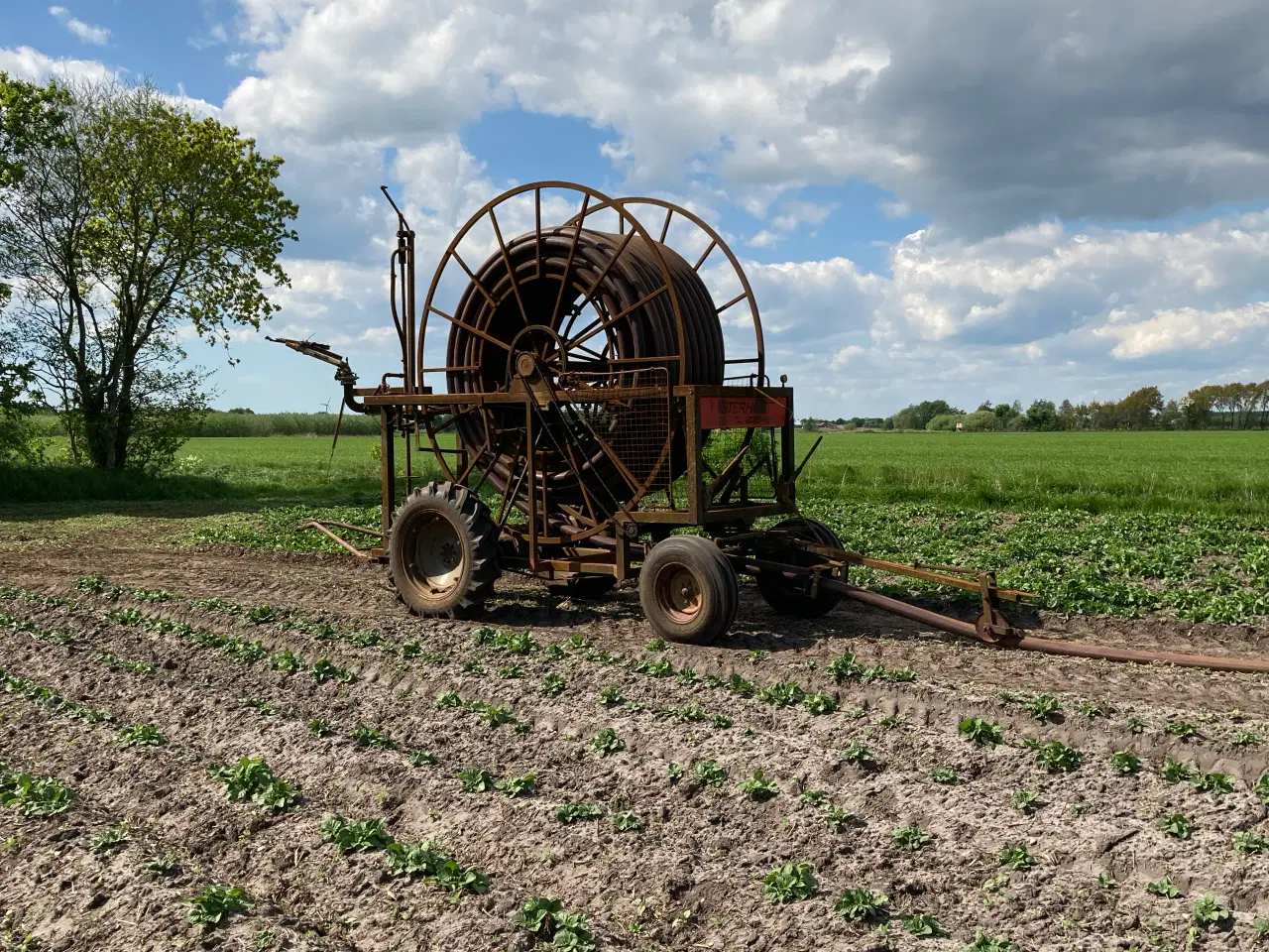 Billede 3 - Fasterholt Tl235-s