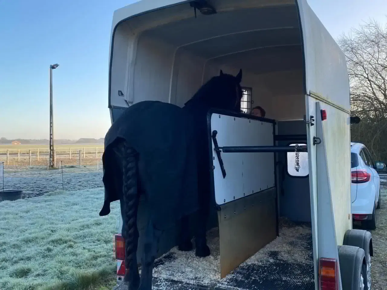 Billede 3 - Sort Barokpinto 