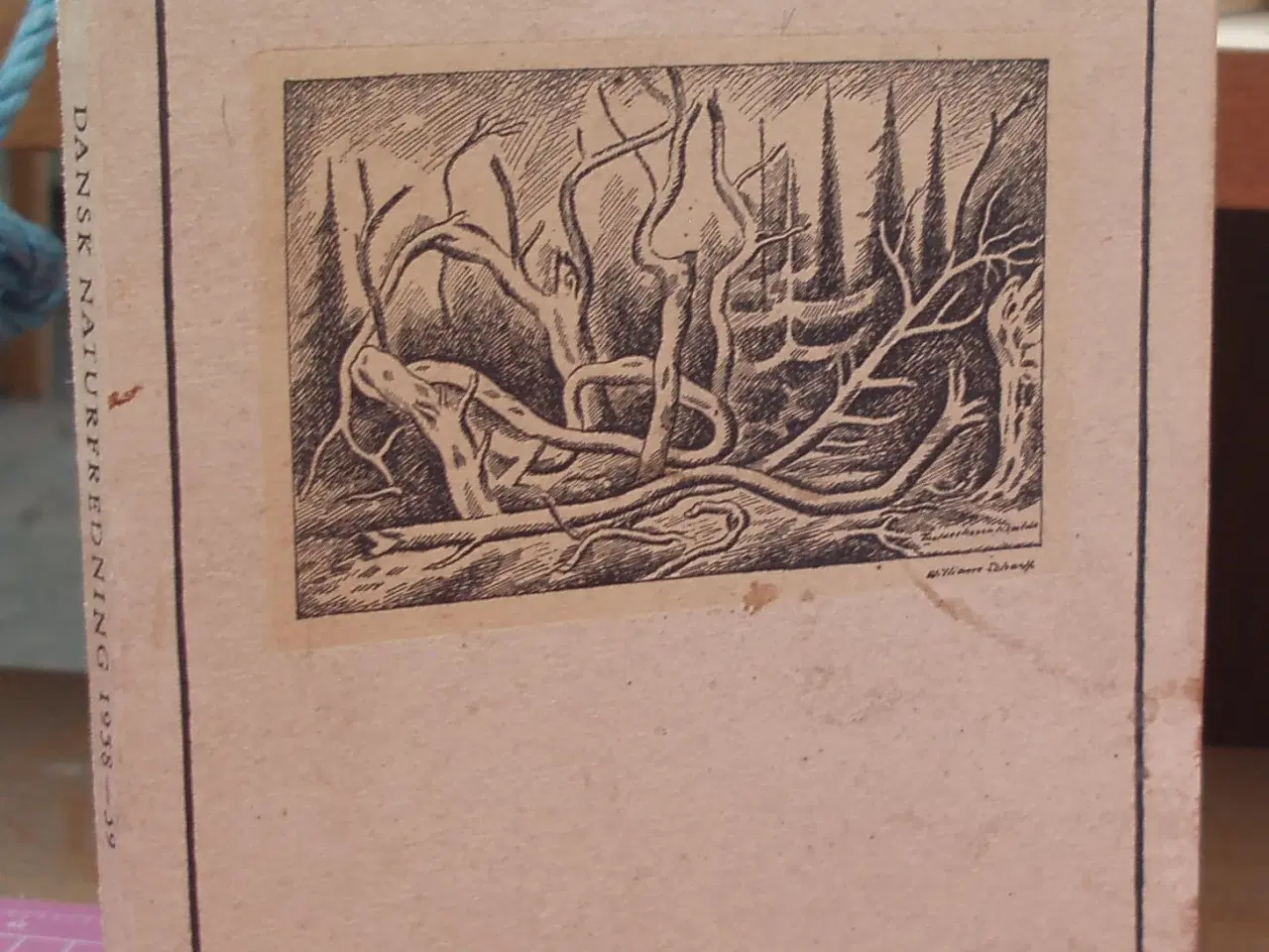 Billede 1 - Dansk Naturfredning Årsskrift 1938-1939