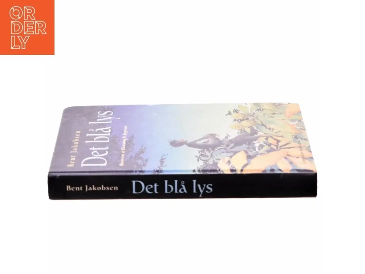 Billede 2 - Det blå lys af Bent Jakobsen (f. 1959-08-21) (Bog)