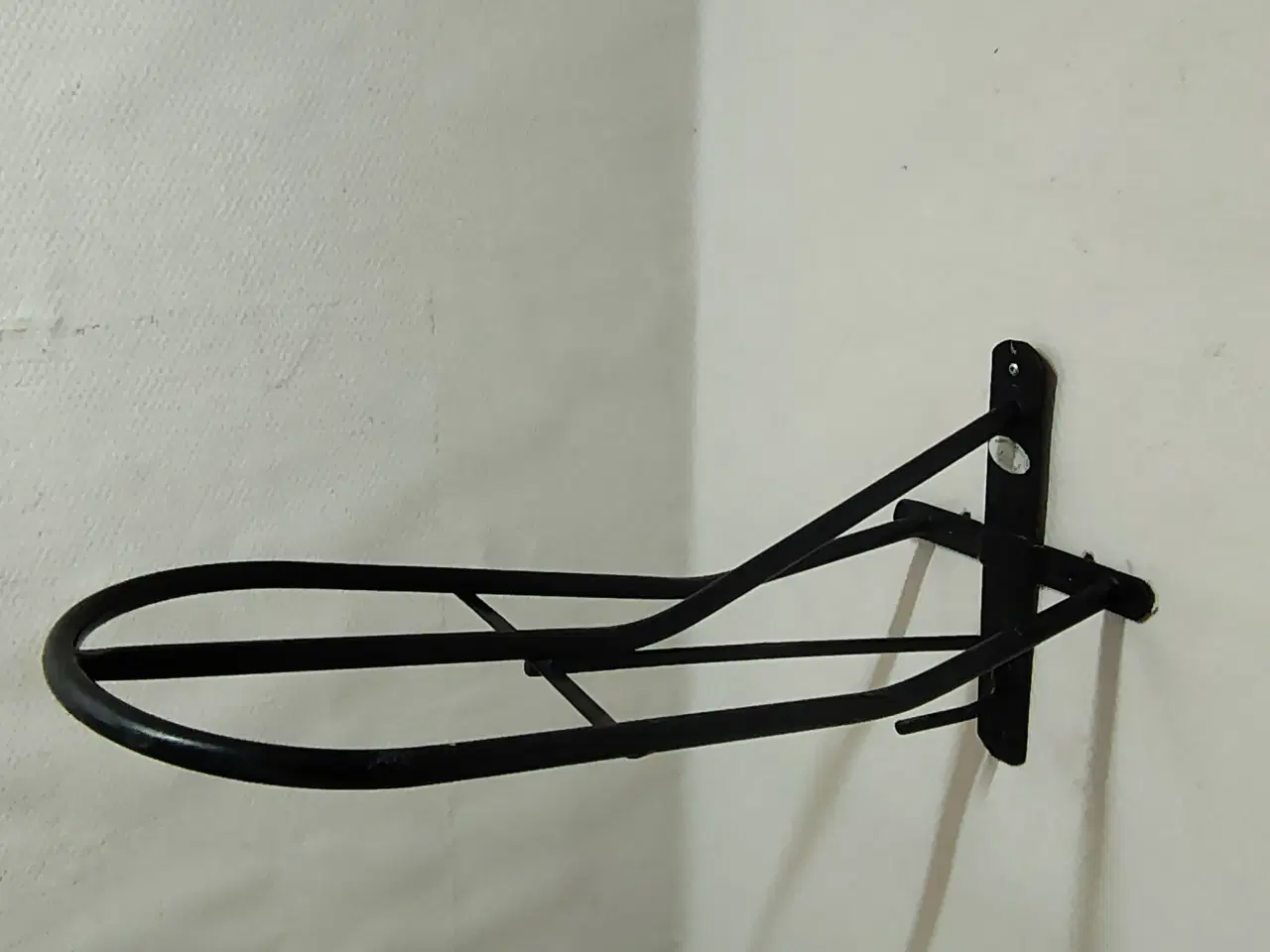 Billede 1 - Saddelknægte