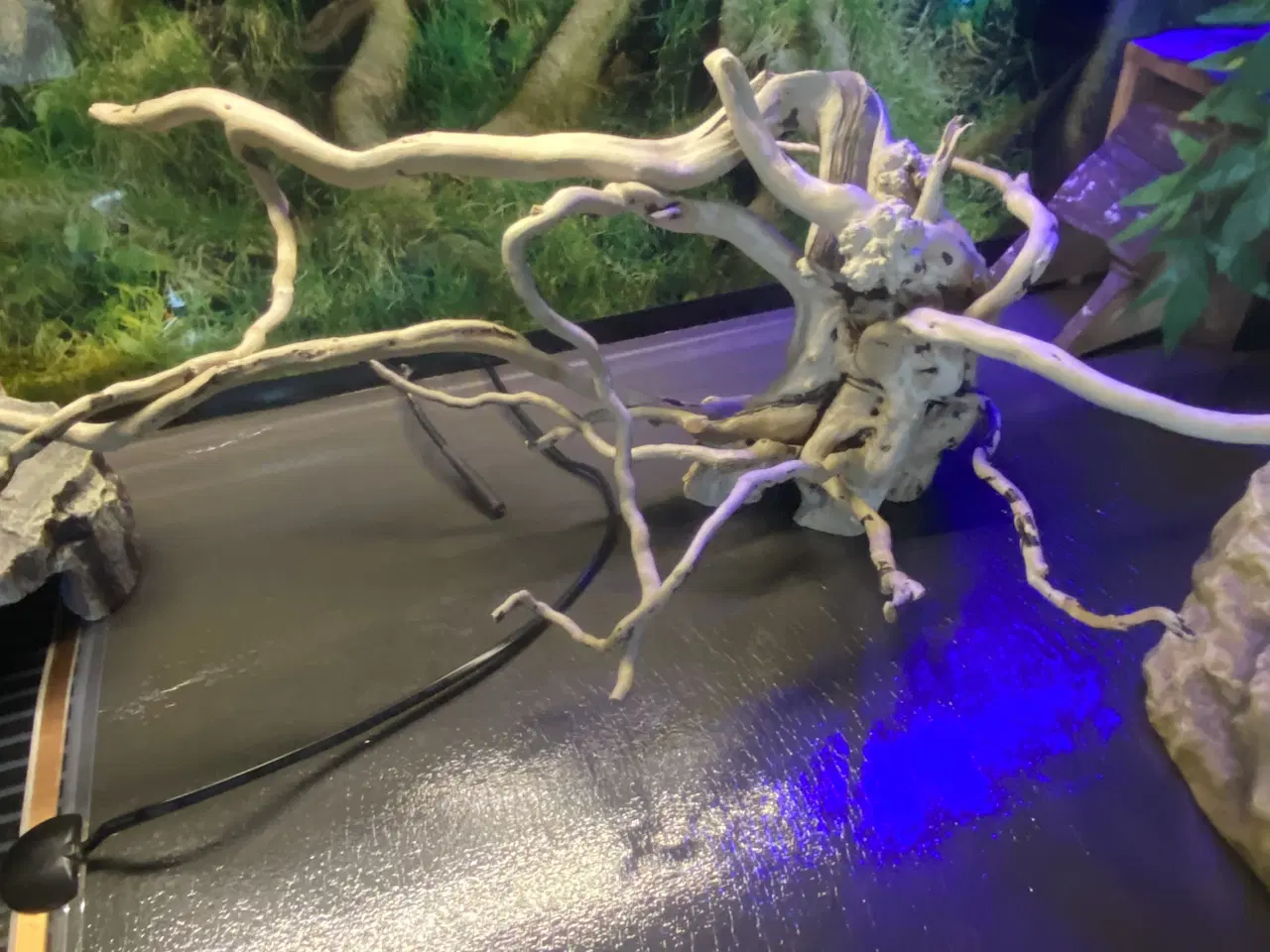 Billede 3 - Plug & play terrarie