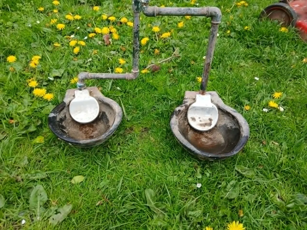 Billede 1 - Vandkopper Stranko