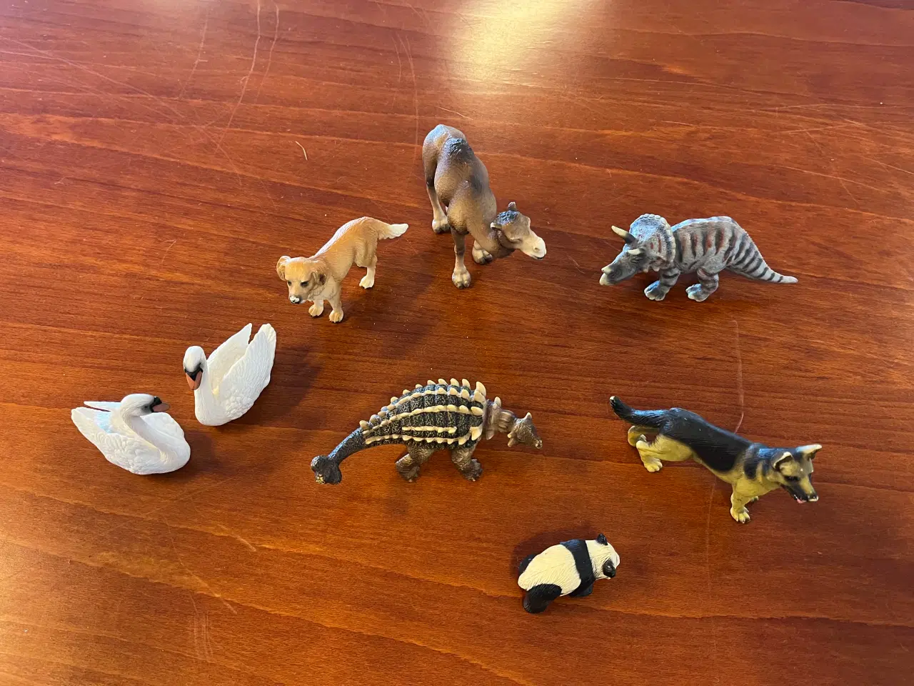 Billede 4 - Forskellige dyr