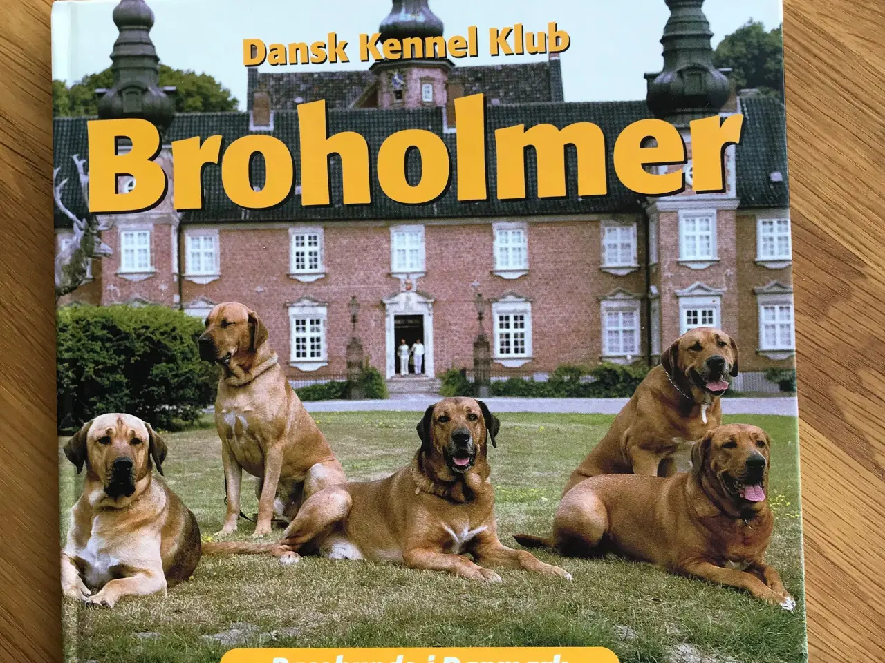 Billede 1 - Broholmer  - Racehunde i Danmark