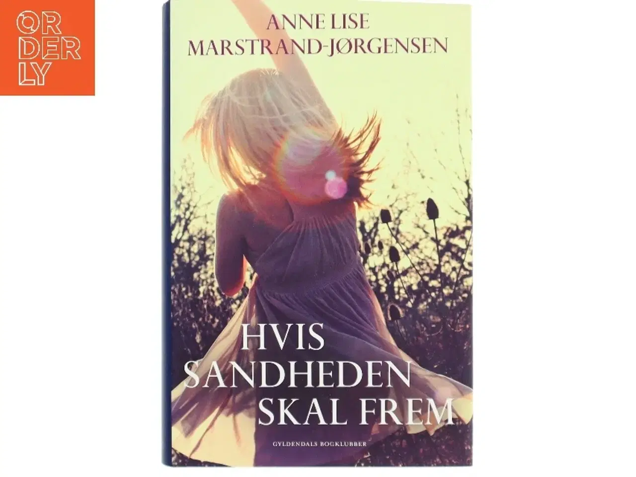 Billede 1 - Hvis sandheden skal frem : roman af Anne Lise Marstrand-Jørgensen (Bog)