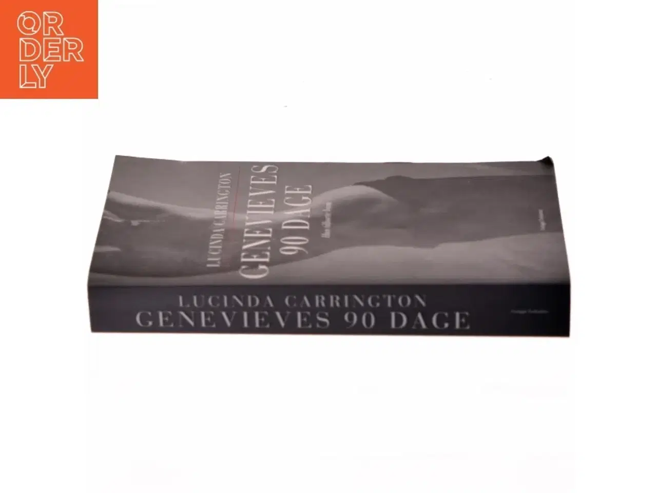 Billede 2 - Genevieves 90 dage af Lucinda Carrington (Bog)