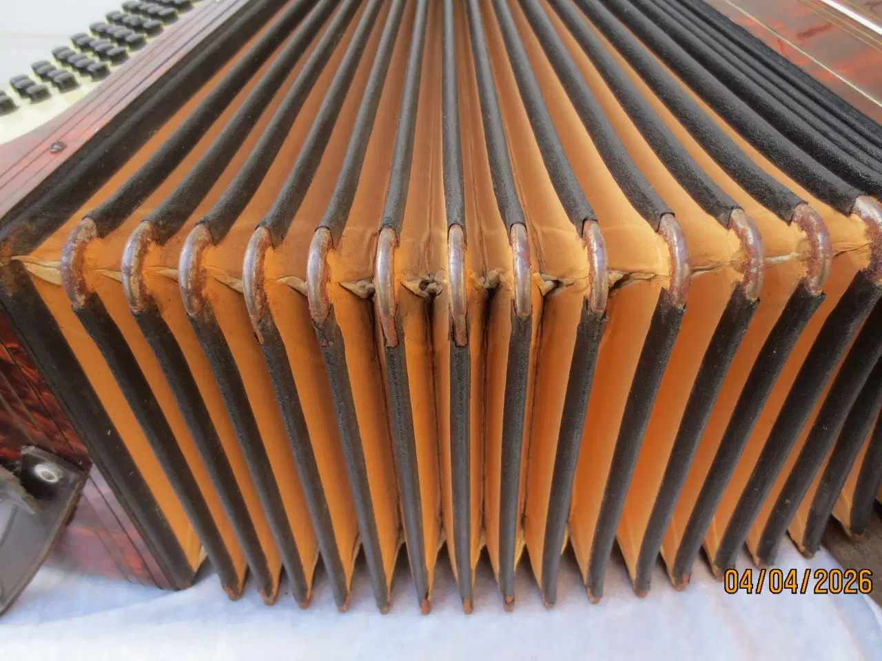 Billede 3 - 1 stk Harmonika Royal Standard 