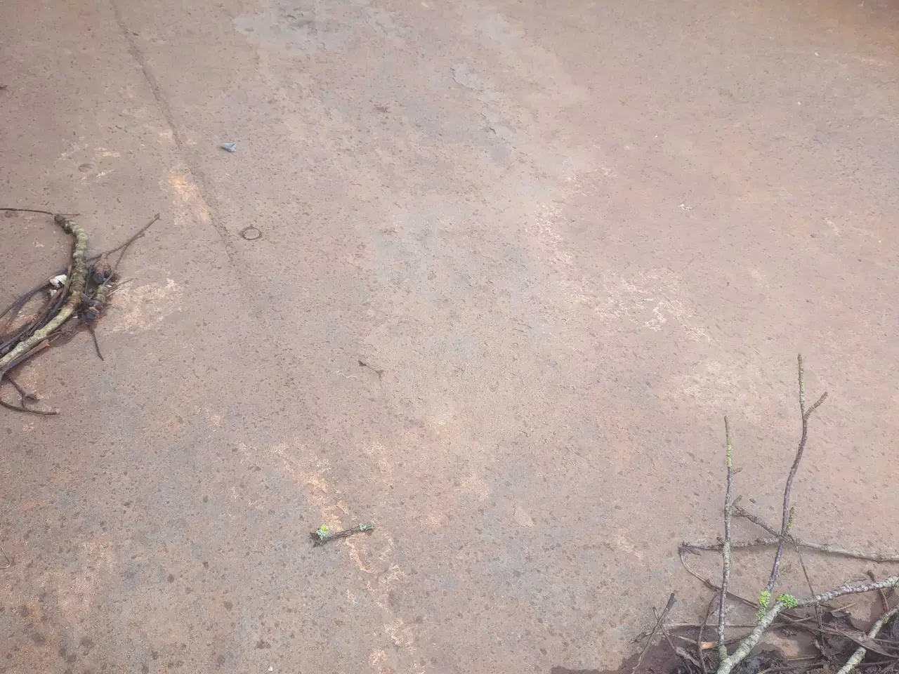 Billede 6 - Trailer sælges