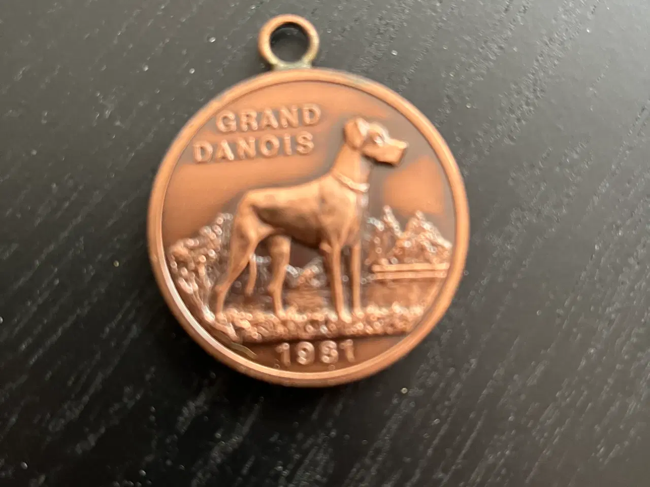 Billede 2 - Medalje Grand danois