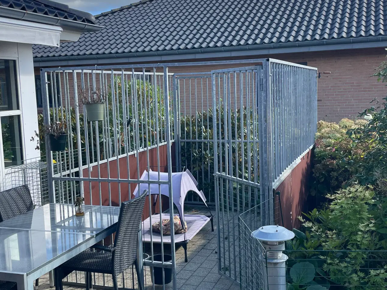 Billede 2 - Hundegård