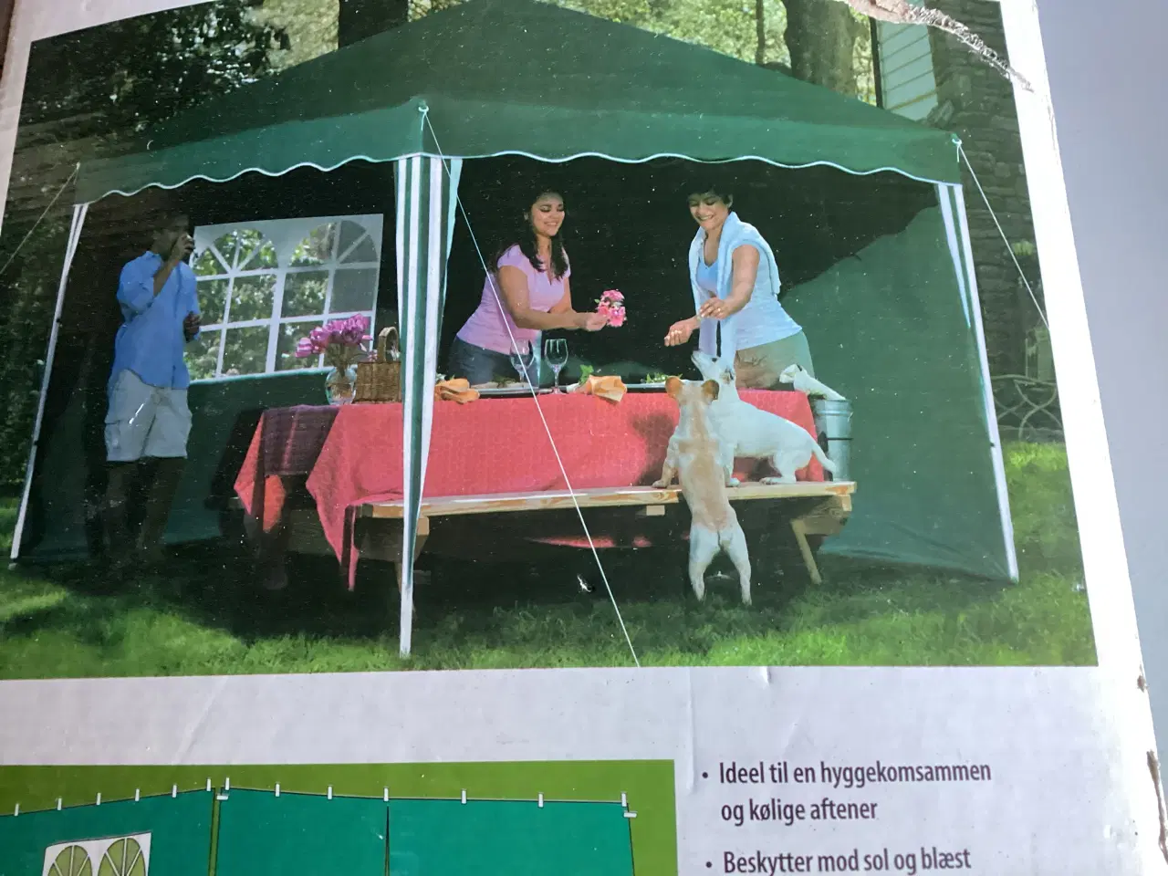 Billede 4 - Sammenklappelig Pavillion