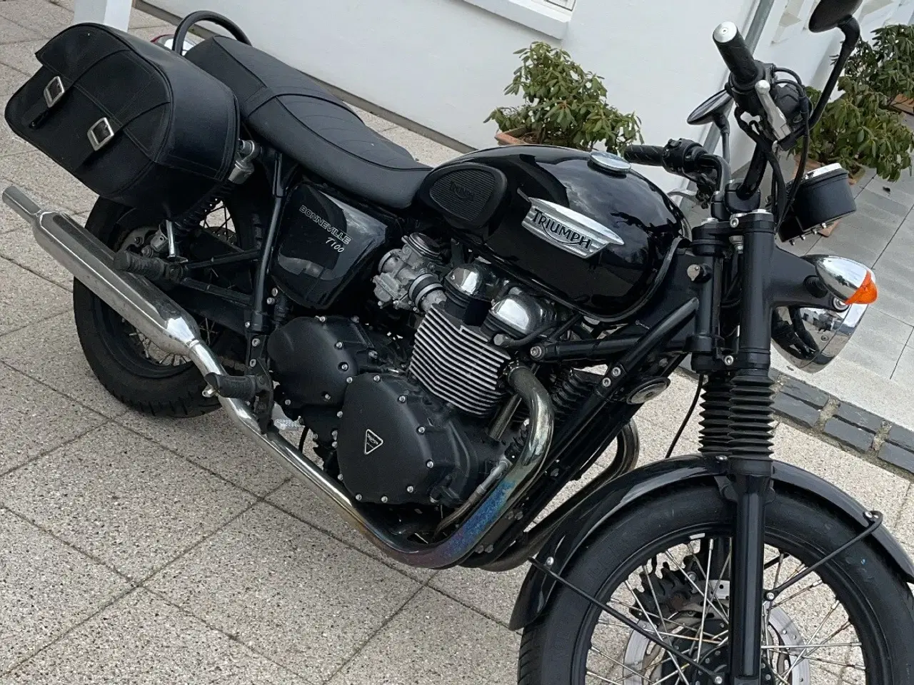 Billede 4 - Triumph Bonneville T100