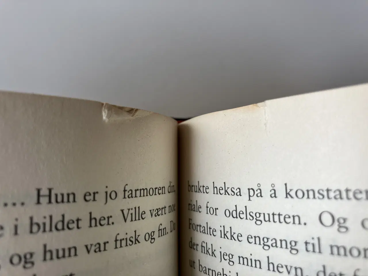 Billede 3 - Berlinerpoplene + Eremittkrepsene (Norsk) (2 bøger