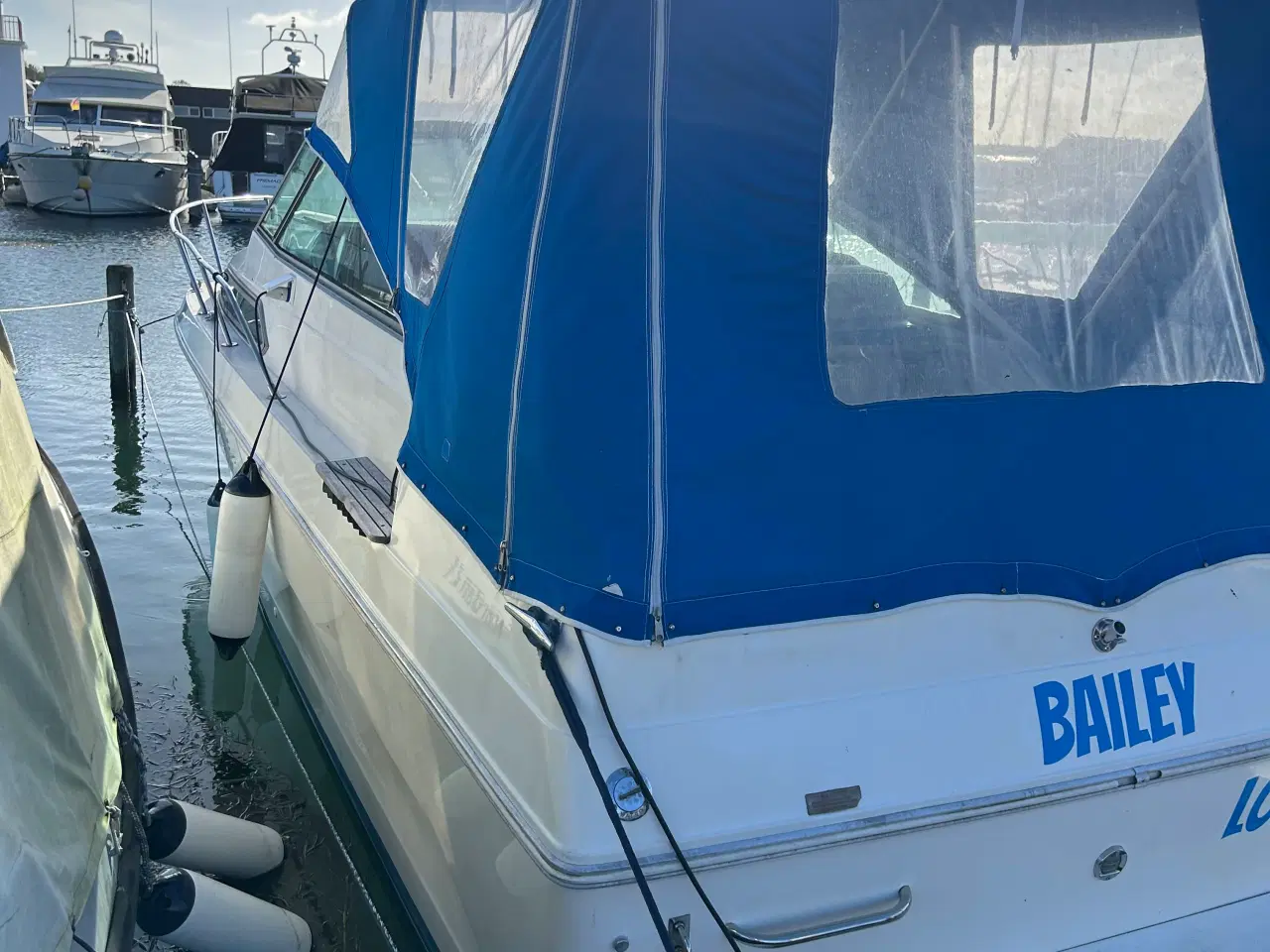 Billede 4 - Sælges : Sea Ray 250 Sundancer 