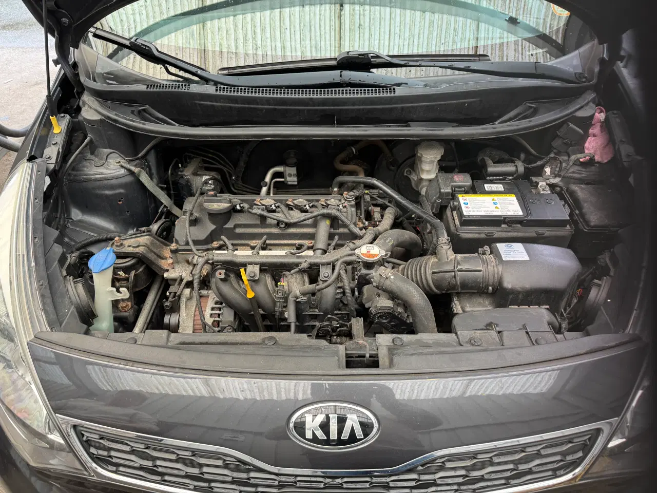 Billede 12 - Kia Rio 1.2 5 Dørs