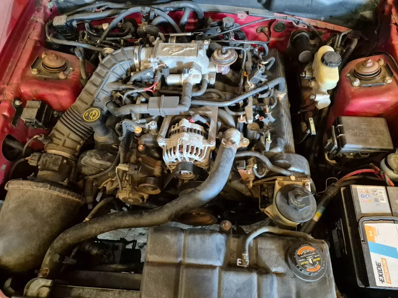 Billede 11 - Ford Mustang 4,6 Cobra SVT Cabriolet