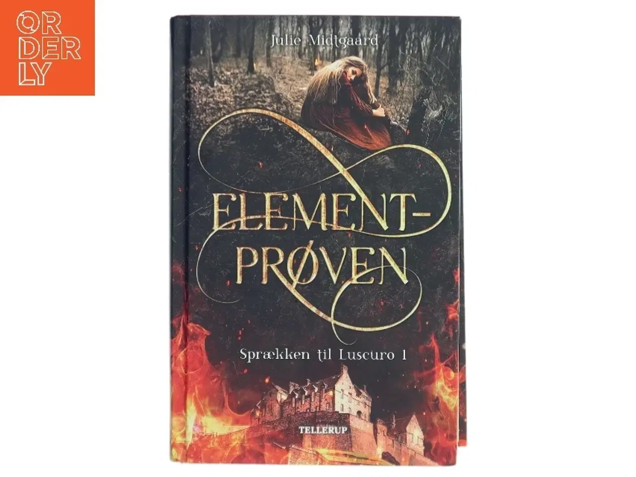 Billede 1 - Elementprøven af Julie Midtgaard (f. 1991) (Bog)