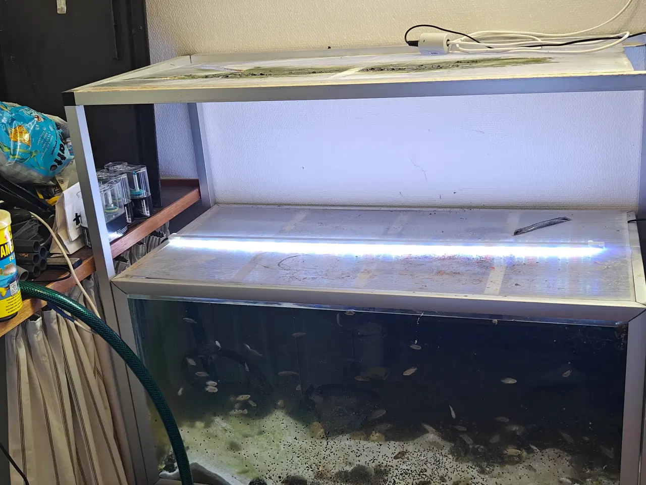 Billede 1 - Akvariereol med 2 stk. 250 L akvarier