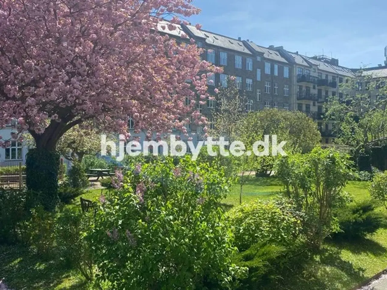 Billede 2 - Hjembytte - Bentzonsvej