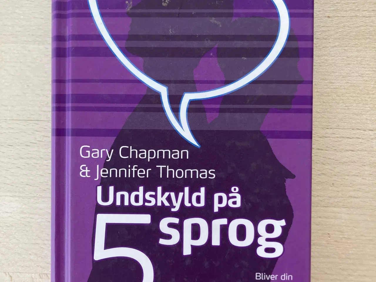 Billede 1 - Undskyld på 5 sprog, Gary Chapman