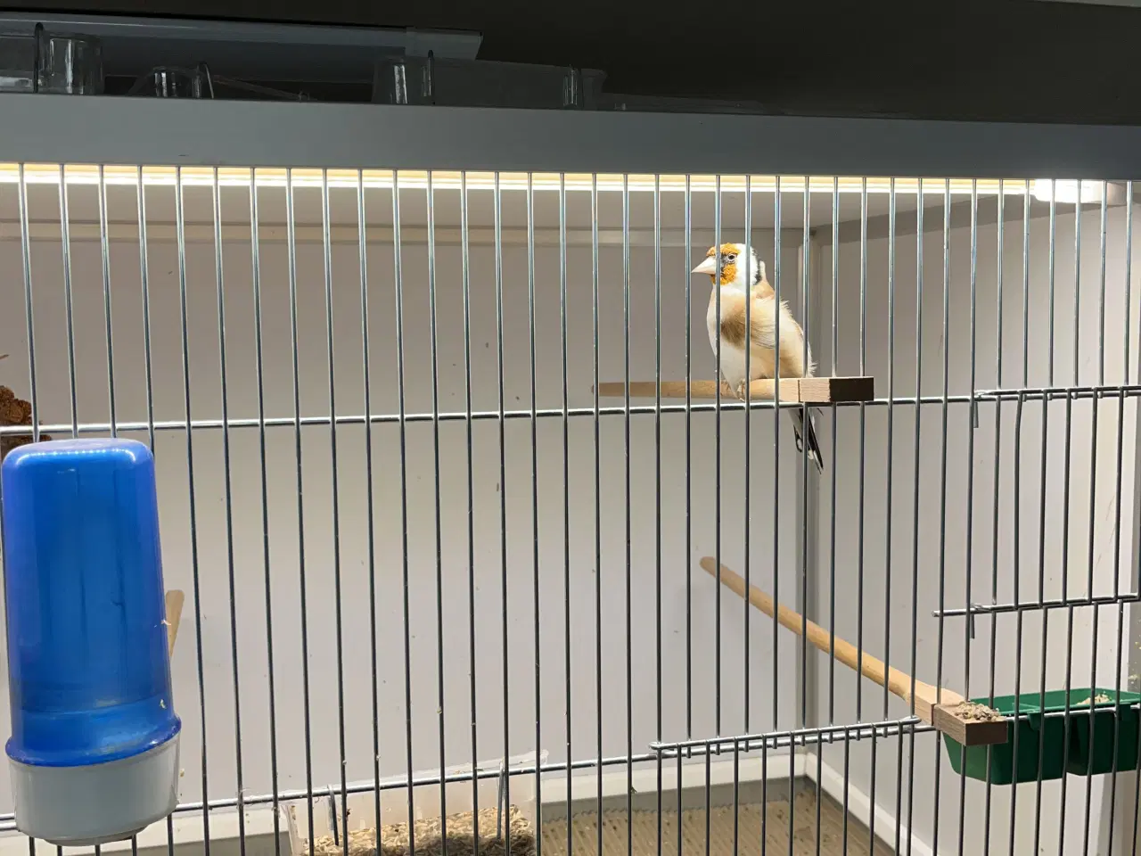 Billede 3 - 2,2 stillits