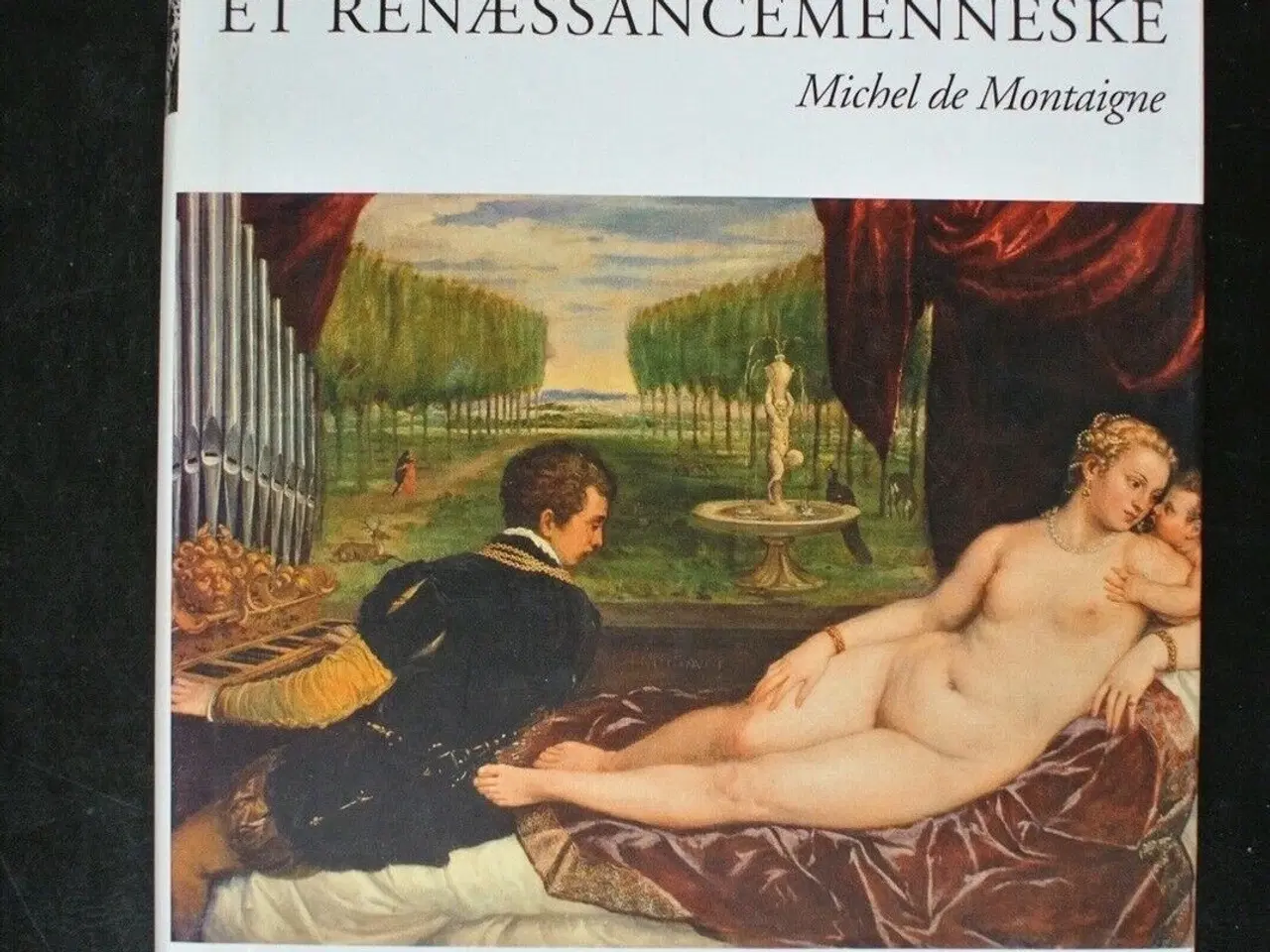 Billede 1 - et renæssancemenneske - michel de montagne, af bjø