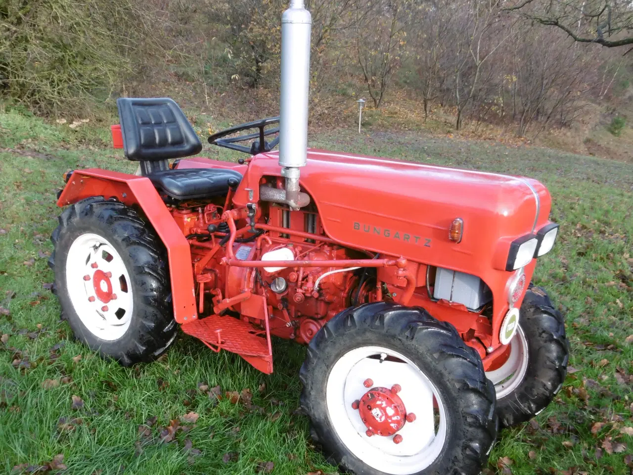 Billede 2 - Bungartz 