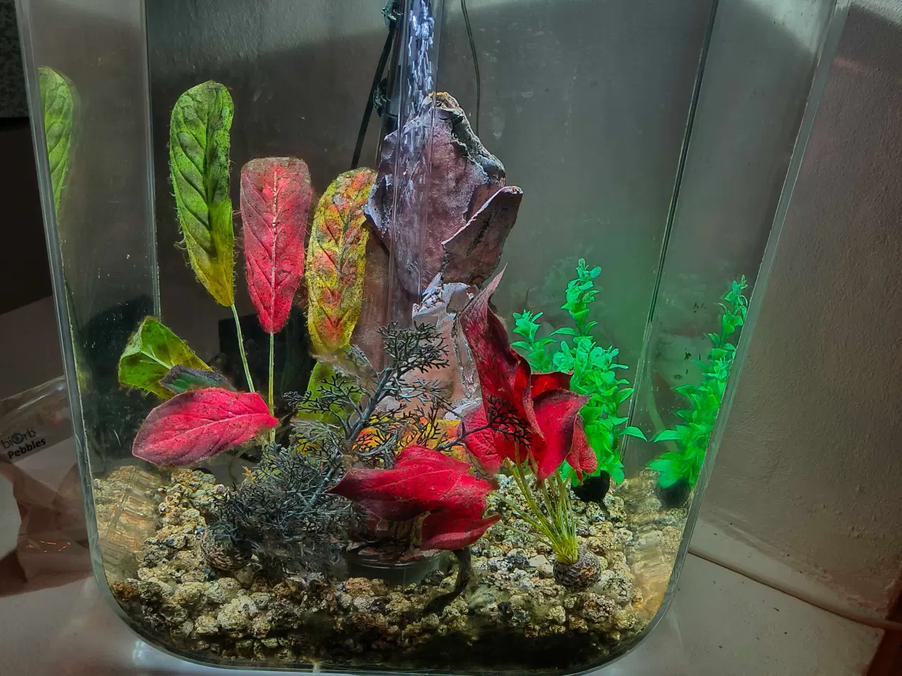 Billede 7 - Biorb akvarium 60 L. Gennemsigt