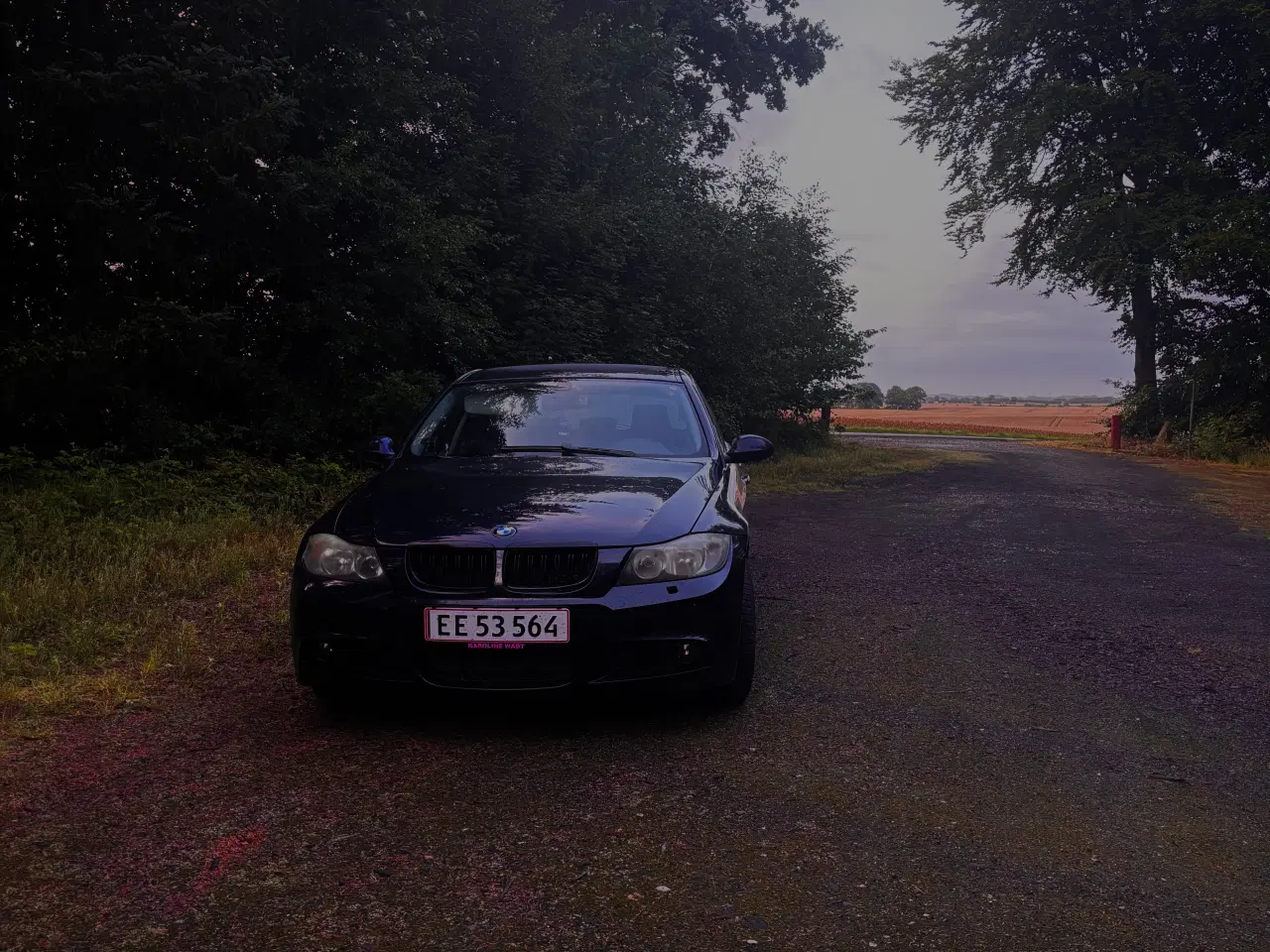 Billede 2 - BMW e91