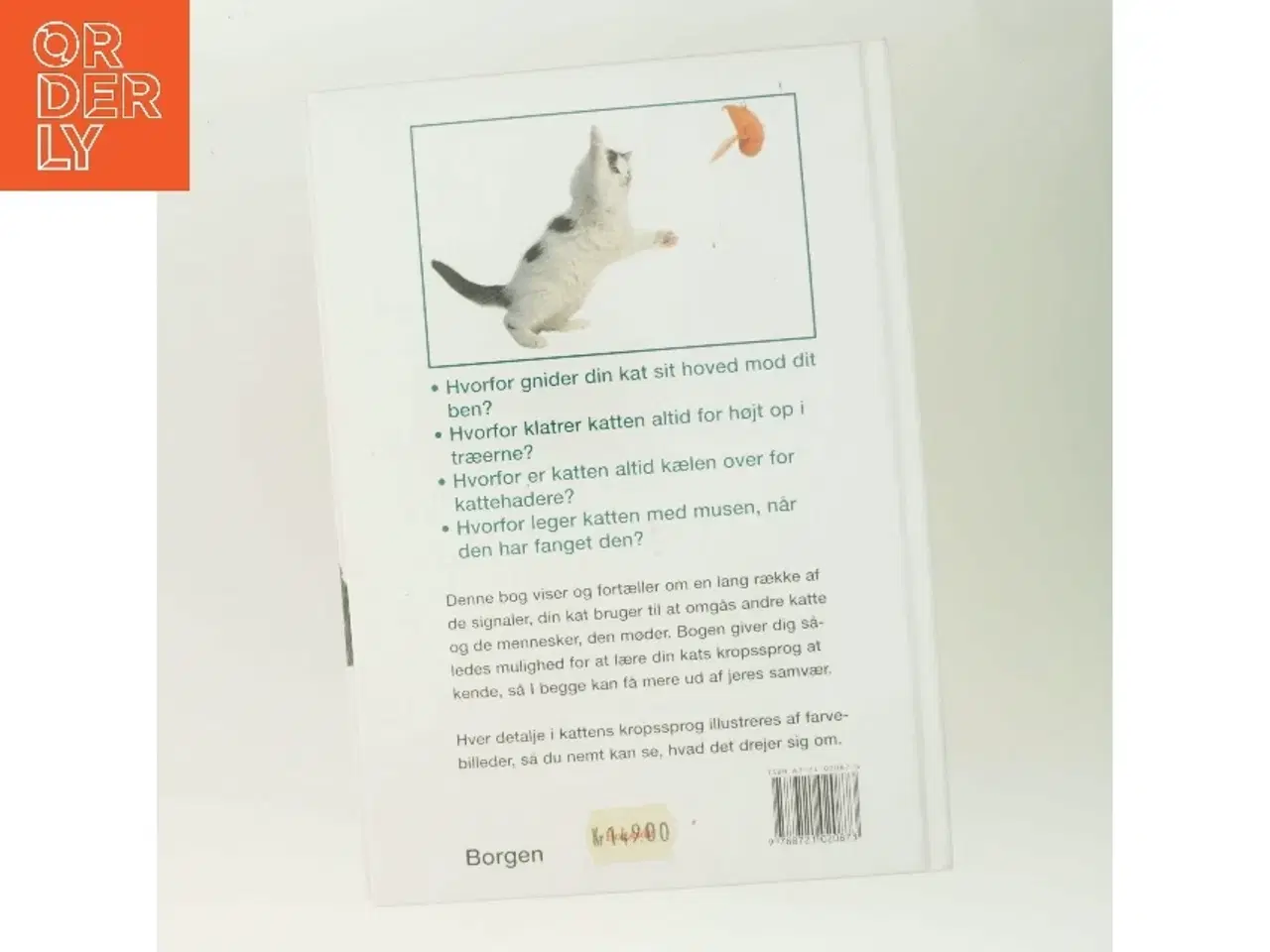 Billede 3 - Hvad tænker min kat? : sådan forstår du din kat af Gwen Bailey (Bog)