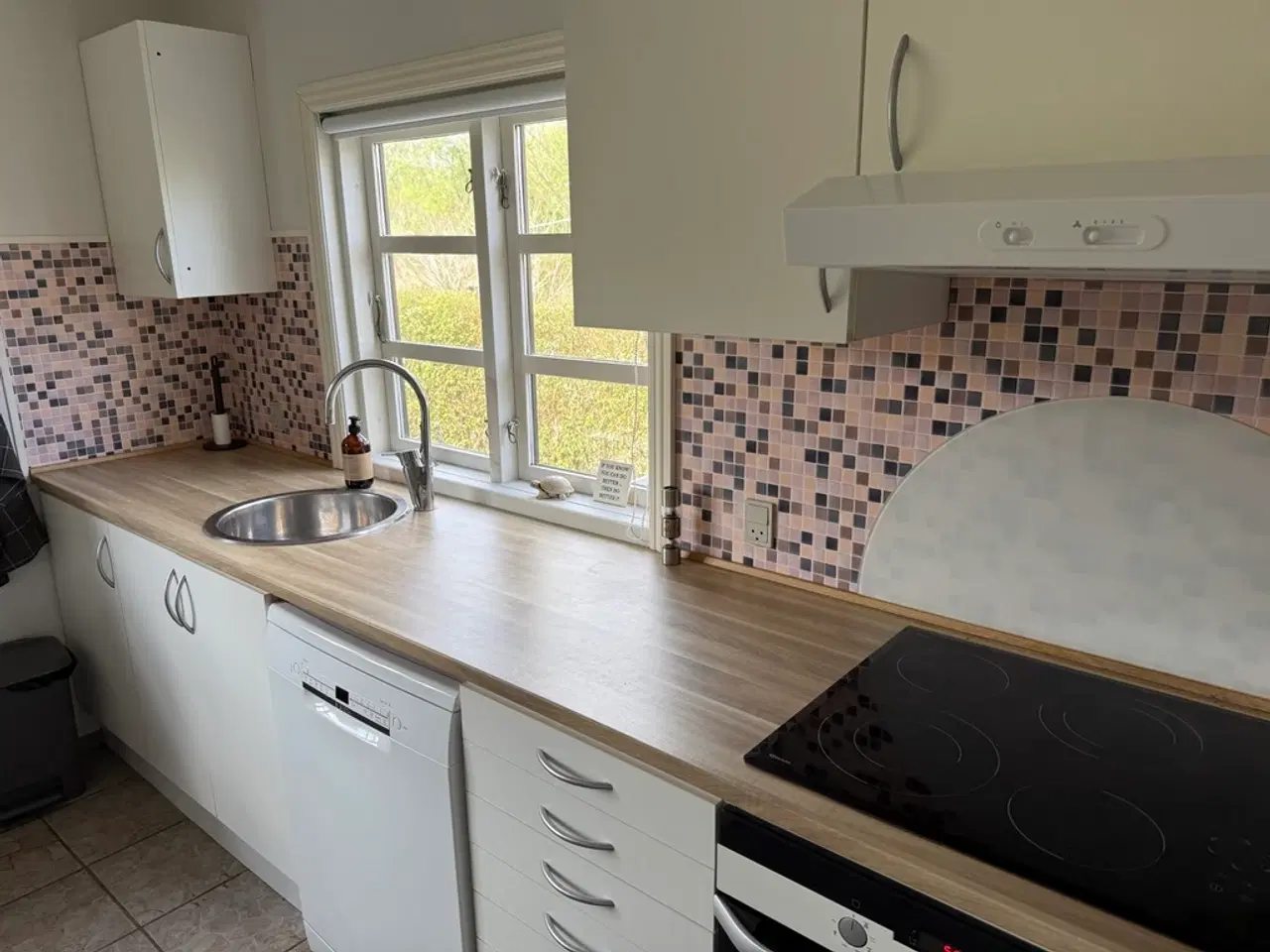 Billede 15 - Dejlig oase i Odense C - Kolonihave i Baagø