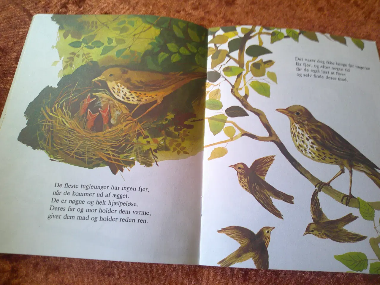 Billede 3 - Dyrenes børn, J.D. Bevington