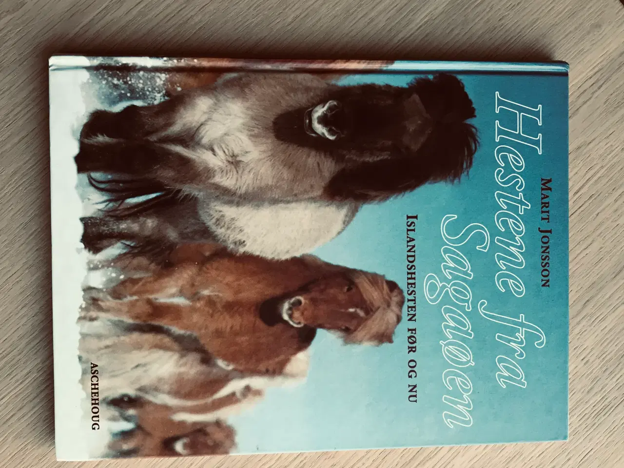 Billede 1 - Hestene fra Sagaøen - Islandshesten før og nu